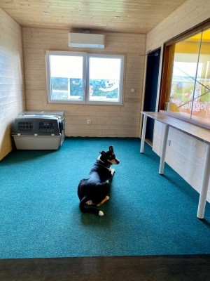 Kynologická hala v Kopaninách